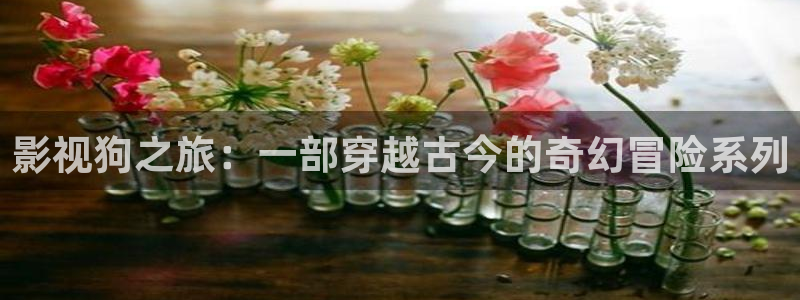 97影院理论午夜伦欧美