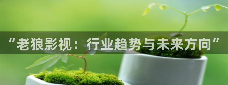 97手机免费影院