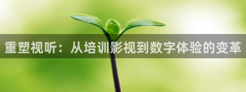 97午夜影院秋霞