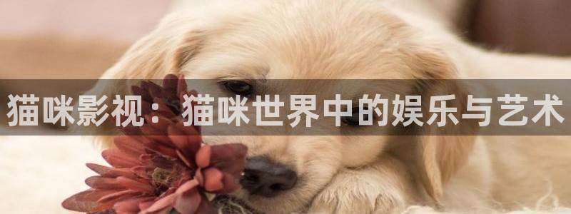 97影院支持微信